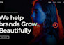 install wordpress and astra theme customization for your website